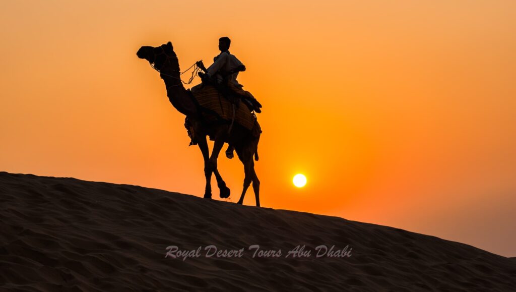 A traveler enjoys a peaceful camel ride across golden dunes during an evening desert safari in Abu Dhabi, embracing the timeless beauty of the desert before a desert safari and BBQ dinner in Abu Dhabi.
