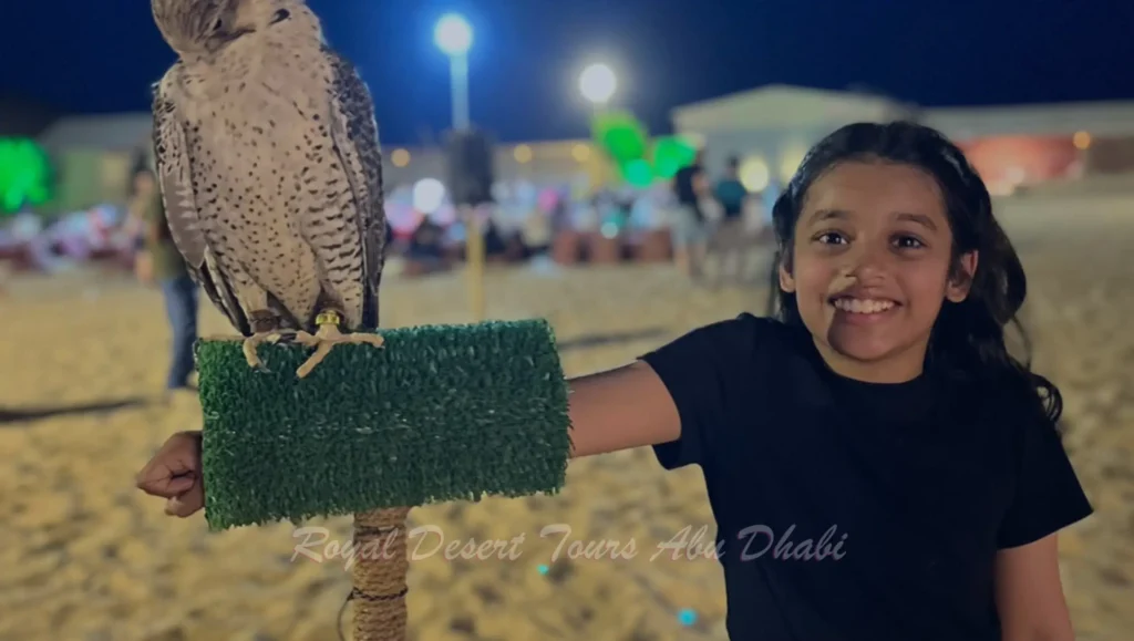 A traveler poses with a majestic falcon during an evening desert safari in Abu Dhabi, embracing the rich heritage of falconry before enjoying a desert safari and BBQ dinner in Abu Dhabi under the starlit sky